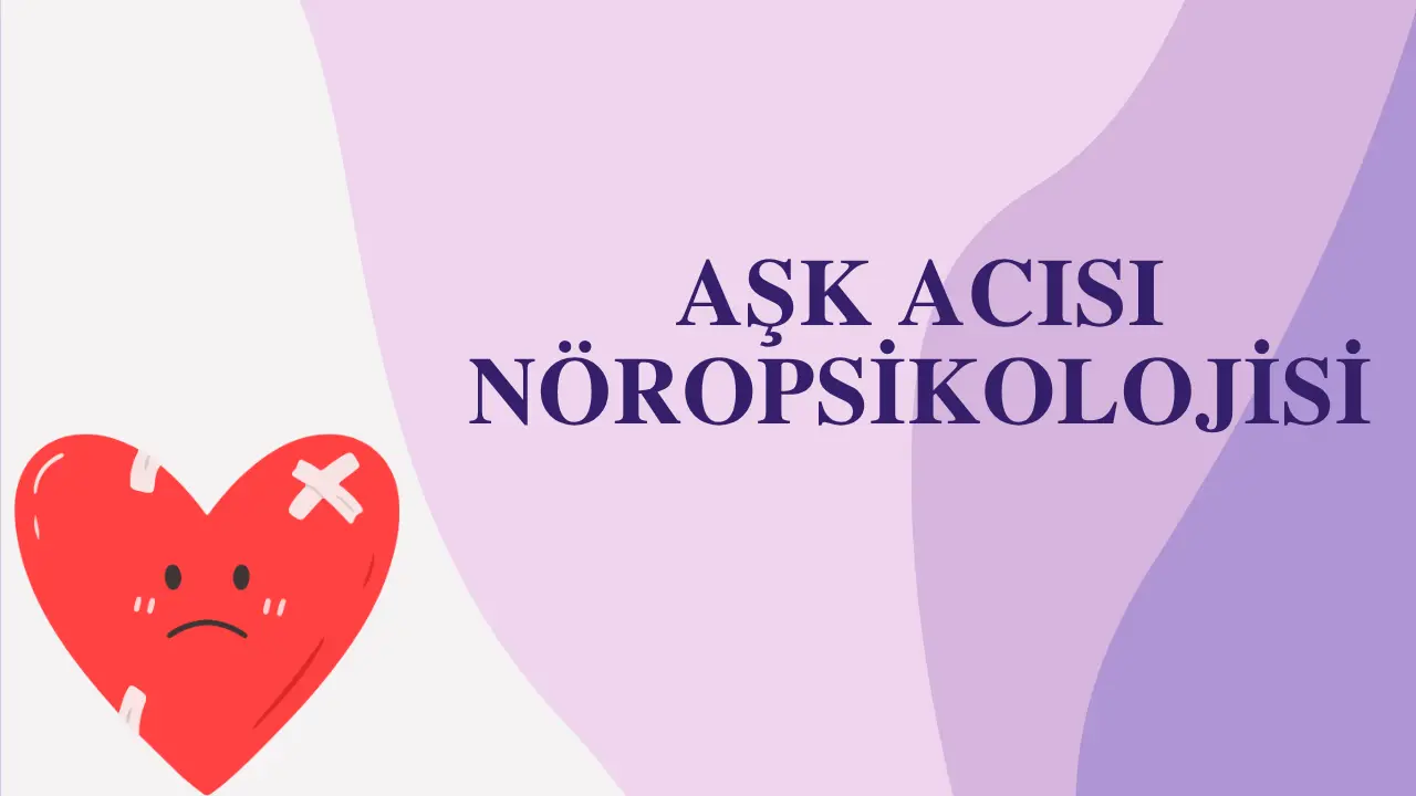 Aşk Acısının Nöropsikolojik Temelleri ve İyileşme Süreci