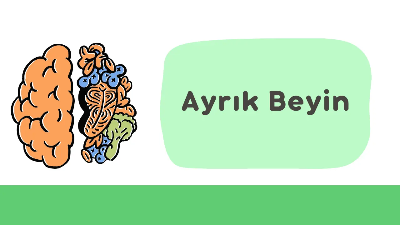 Ayrık Beyin Sendromu