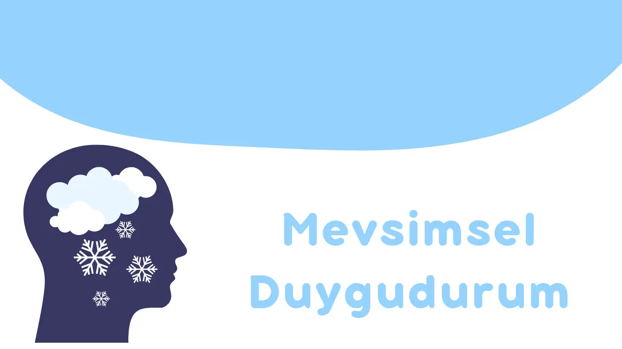 Mevsimsel Duygu Durum Değişikliği