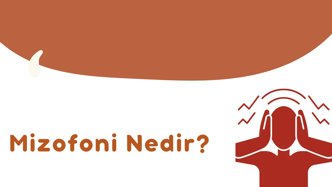 Mizofoni Nedir?