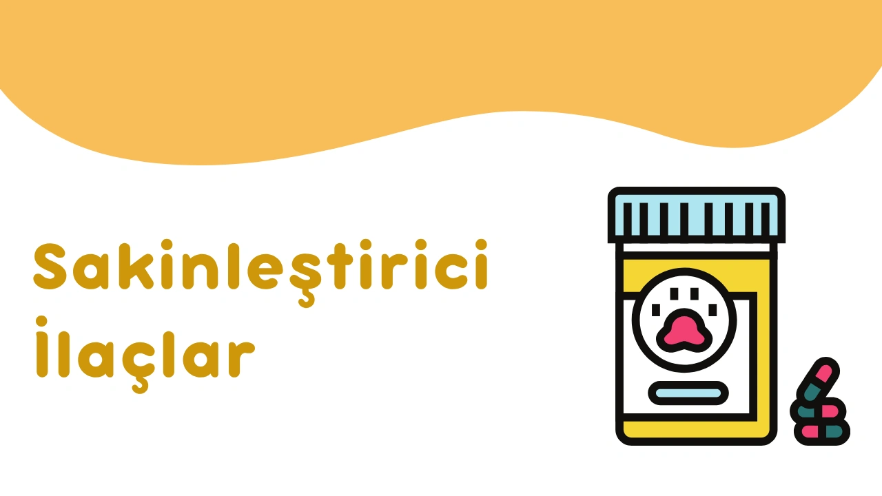 Sakinleştirici İlaçlar Nedir?