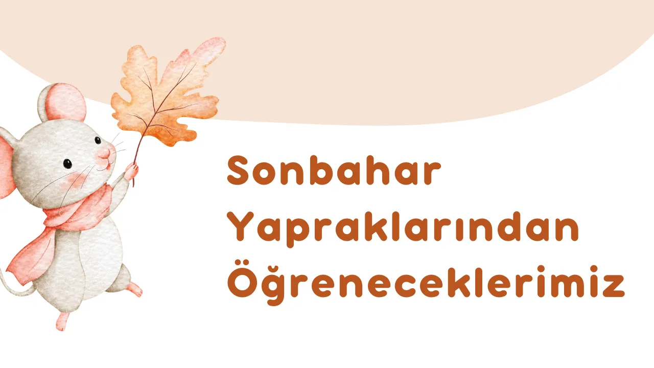 Sonbahar Yapraklarından Öğreneceklerimiz
