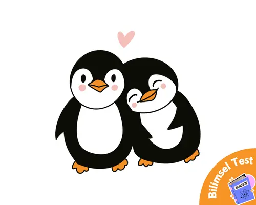 Aşk Testi