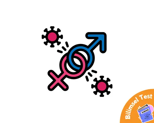 Cinsel Sapkınlık Testi