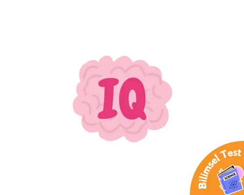 IQ Zeka Testi