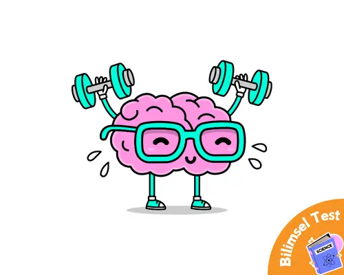 Motivasyon Problemi Testi