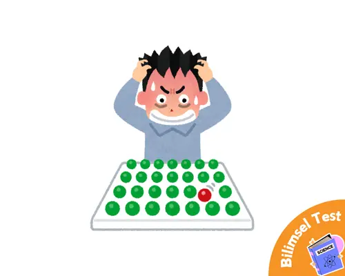 Mükemmelliyetçilik Testi