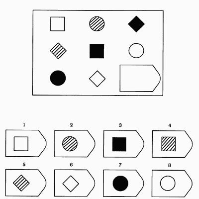 Raven IQ Test D8